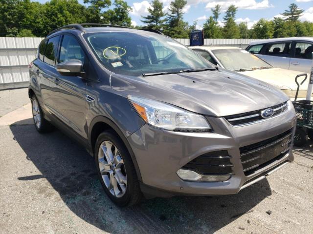 FORD ESCAPE SEL 2013 with VIN 1FMCU0HX0DUA70014 - Photo from auction
