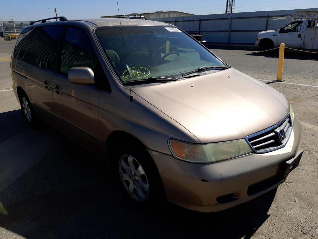 HONDA ODYSSEY EX 2003 with VIN 5FNRL18073B140187 - Photo from auction