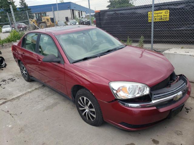 CHEVROLET MALIBU LS 2005 with VIN 1G1ZT54895F141402 - Photo from auction