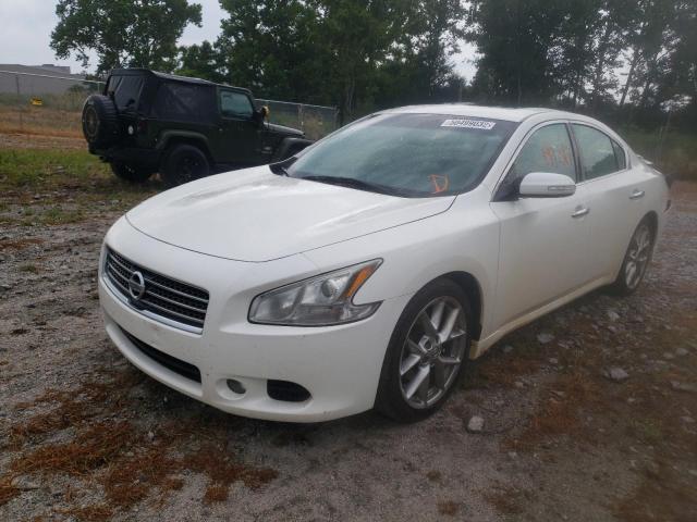 Photo 2 from auction – 2010 NISSAN MAXIMA S with VIN 1N4AA5AP4AC840296