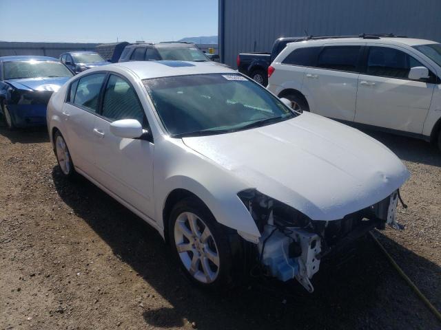NISSAN MAXIMA SE 2008 with VIN 1N4BA41E28C800905 - Photo from auction