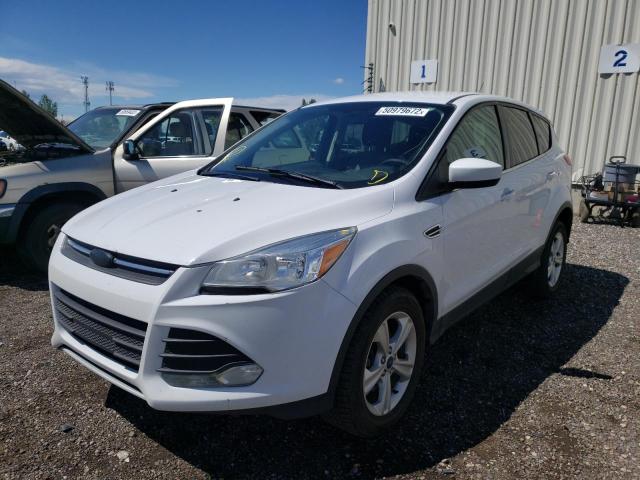 Photo 2 from auction – 2014 FORD ESCAPE SE with VIN 1FMCU9GX1EUC54711