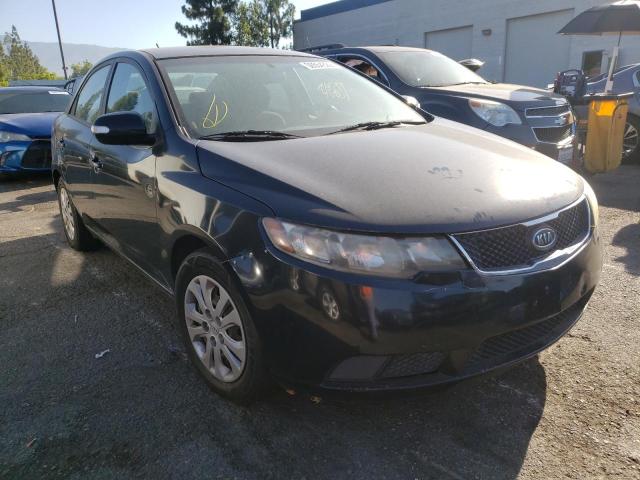 KIA FORTE EX 2010 with VIN KNAFU4A27A5225166 - Photo from auction