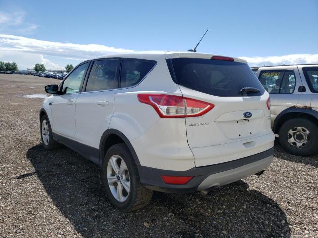 Photo 3 from auction – 2014 FORD ESCAPE SE with VIN 1FMCU9GX1EUC54711