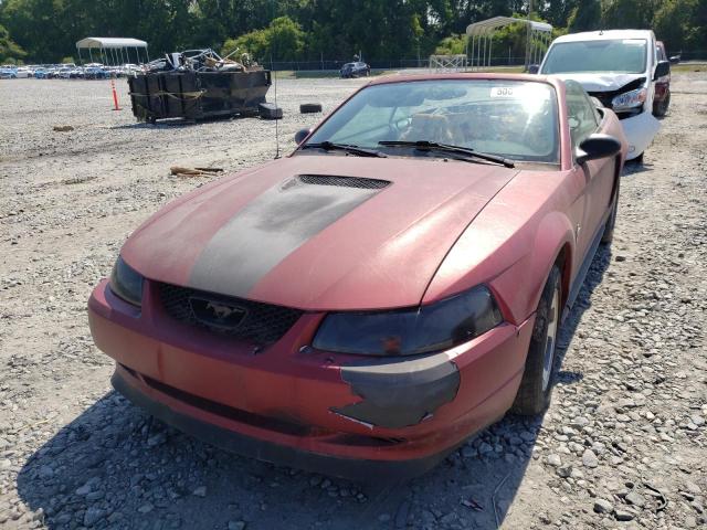 صورة رقم 2 من المزاد - 2000 FORD MUSTANG مع VIN 1FAFP4447YF286776