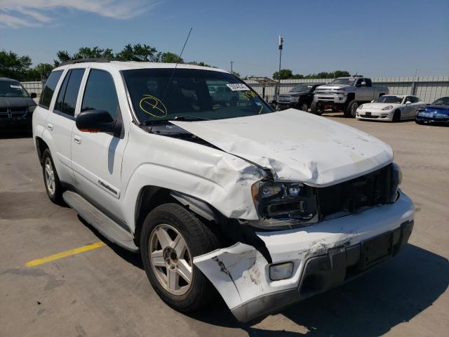 CHEVROLET TRAILBLAZE 2003 with VIN 1GNDS13S732373695 - Photo from auction