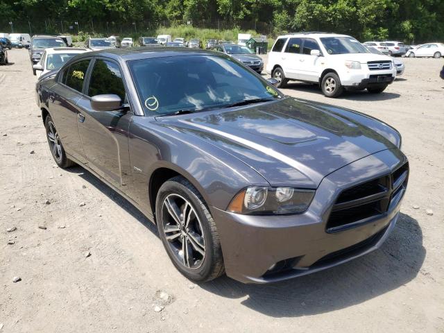 DODGE CHARGER R/ 2014 with VIN 2C3CDXDT8EH278067 - Photo from auction