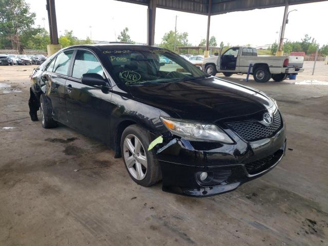 TOYOTA CAMRY BASE 2010 with VIN 4T1BF3EK8AU013040 - Photo from auction