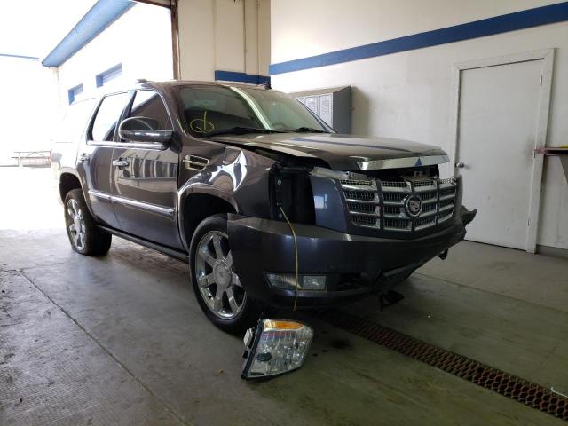 CADILLAC ESCALADE P 2011 with VIN 1GYS4CEF9BR145204 - Photo from auction