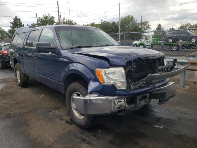 FORD F150 SUPER 2010 with VIN 1FTEW1E8XAFC65869 - Photo from auction