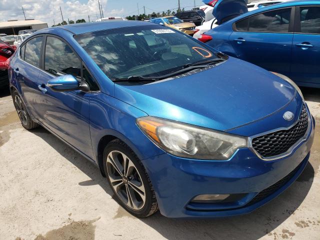 KIA FORTE EX 2014 with VIN KNAFZ4A89E5074391 - Photo from auction