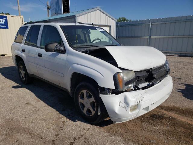 Photo 1 from auction – 2006 CHEVROLET TRAILBLAZE with VIN 1GNDT13S762178388