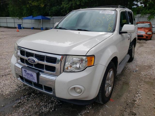 Photo 2 from auction – 2010 FORD ESCAPE LIM with VIN 1FMCU0EG9AKD09507
