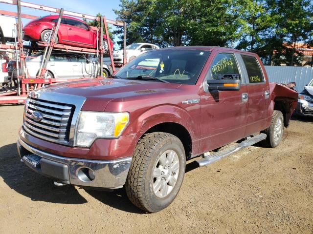 Photo 2 from auction – 2010 FORD F150 SUPER with VIN 1FTFW1EV5AFB56228