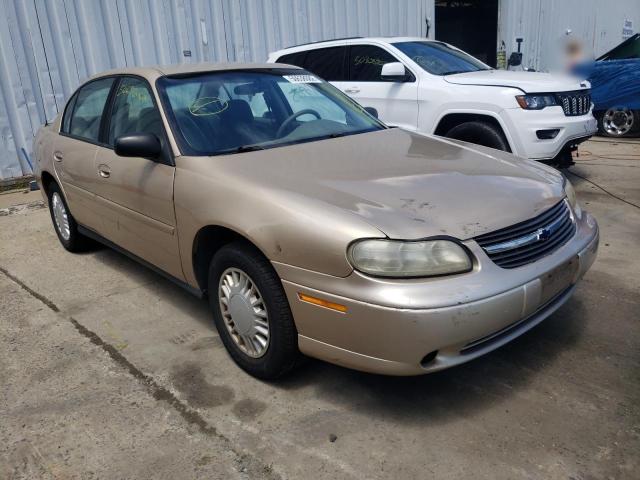 CHEVROLET MALIBU 2002 with VIN 1G1ND52J42M694242 - Photo from auction