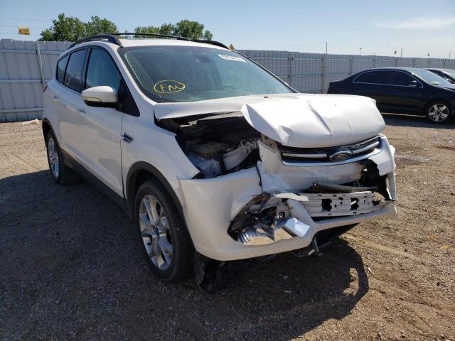 FORD ESCAPE SEL 2013 with VIN 1FMCU0HXXDUD33822 - Photo from auction