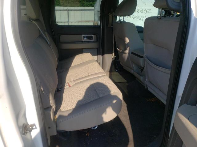 Photo 6 from auction – 2010 FORD F150 SUPER with VIN 1FTEW1C83AFB46869