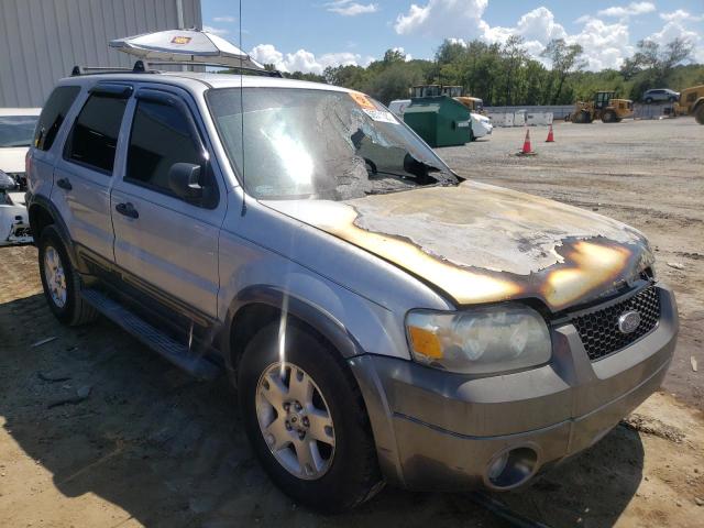 FORD ESCAPE XLT 2006 with VIN 1FMCU03126KC50371 - Photo from auction