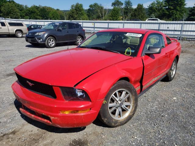 Photo 2 from auction – 2005 FORD MUSTANG with VIN 1ZVFT80N955177617