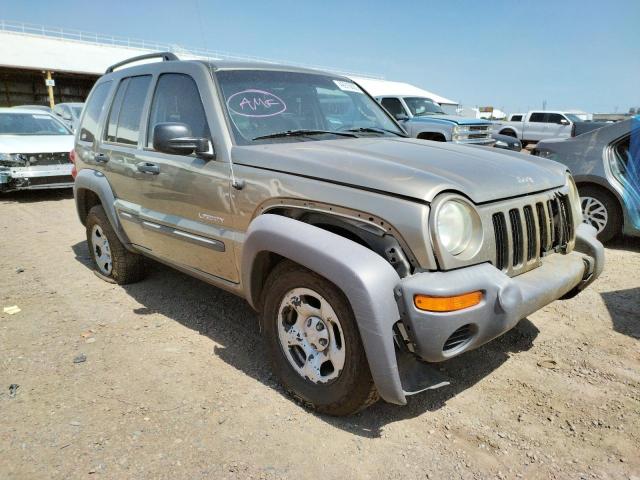 JEEP LIBERTY SP 2004 with VIN 1J4GL48K64W161663 - Photo from auction