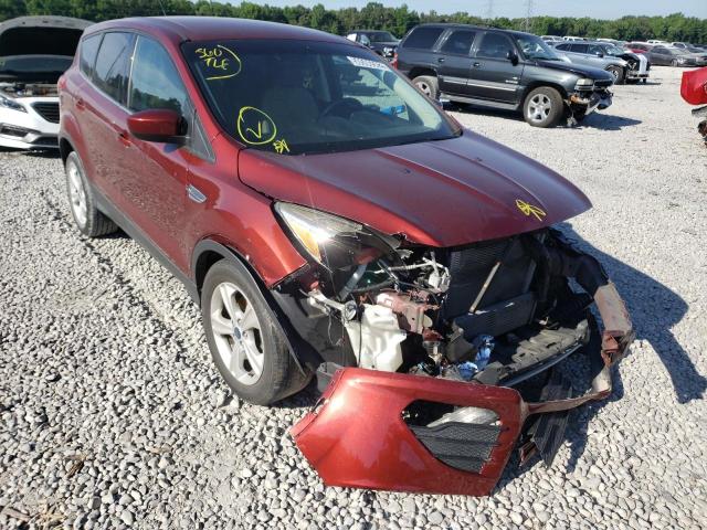 FORD ESCAPE SE 2014 with VIN 1FMCU0GX0EUA02718 - Photo from auction