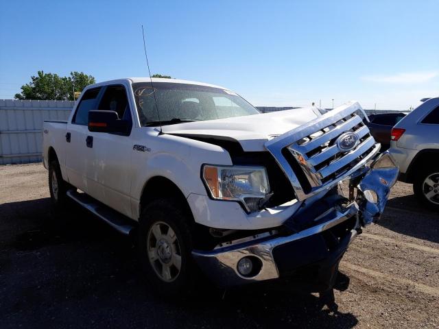 FORD F150 SUPER 2010 with VIN 1FTFW1EV1AFD12314 - Photo from auction
