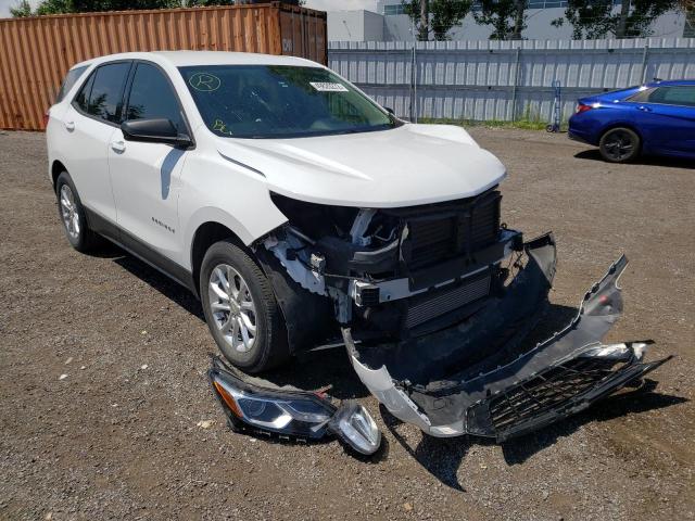 CHEVROLET EQUINOX LS 2019 with VIN 2GNAXSEV9K6259958 - Photo from auction