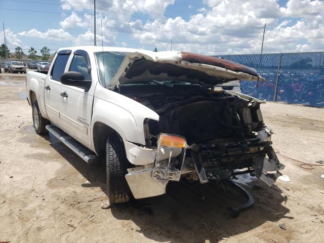 GMC SIERRA C15 2009 with VIN 3GTEC23019G213777 - Photo from auction