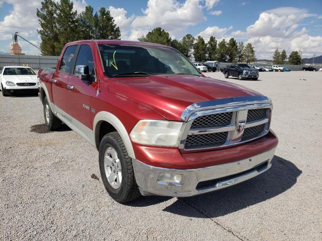 DODGE RAM 1500 2009 with VIN 1D3HV13T29J518092 - Photo from auction