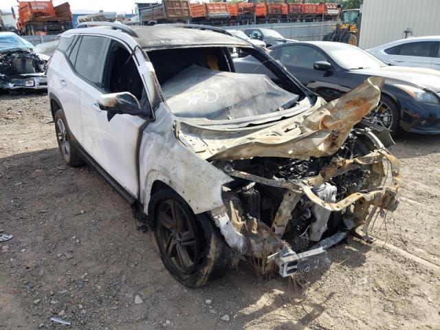 GMC TERRAIN SL 2020 with VIN 3GKALVEV5LL117498 - Photo from auction