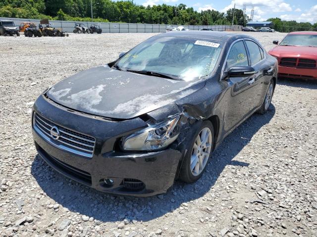 Photo 2 from auction – 2009 NISSAN MAXIMA S with VIN 1N4AA51E49C843869