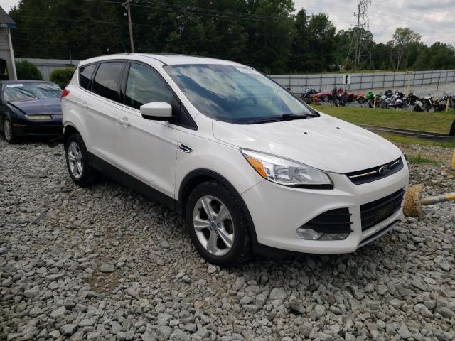 FORD ESCAPE SE 2013 with VIN 1FMCU0GX4DUB44312 - Photo from auction