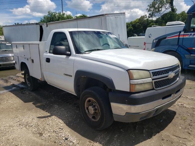 CHEVROLET SILVERADO 2005 with VIN 1GCHC24UX5E329558 - Photo from auction