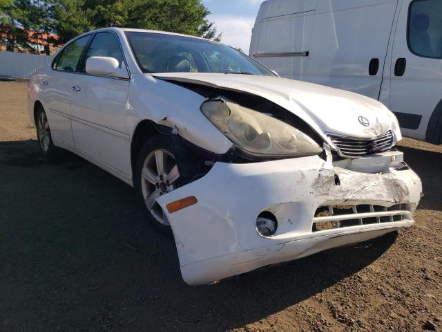 LEXUS ES 330 2005 with VIN JTHBA30G555112662 - Photo from auction