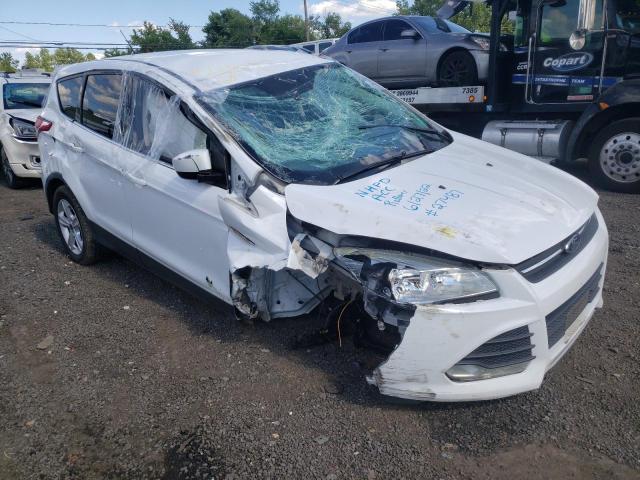 FORD ESCAPE SE 2014 with VIN 1FMCU0GX7EUE28146 - Photo from auction