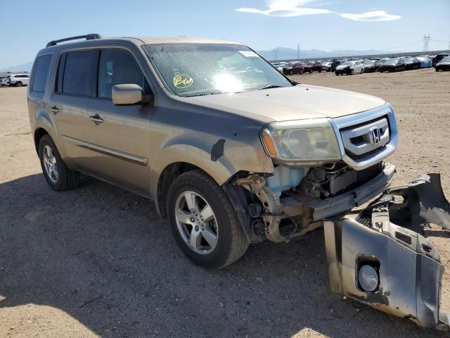 HONDA PILOT EXL 2009 with VIN 5FNYF38539B017361 - Photo from auction