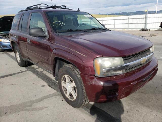 CHEVROLET TRAILBLAZE 2006 with VIN 1GNDS13S462293310 - Photo from auction
