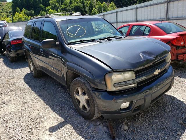 CHEVROLET TRAILBLAZE 2004 with VIN 1GNDT13S842133487 - Photo from auction