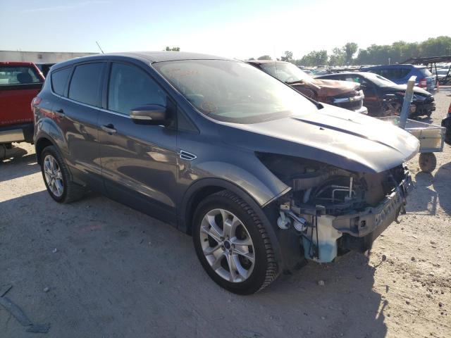 FORD ESCAPE SEL 2013 with VIN 1FMCU0H97DUC56800 - Photo from auction