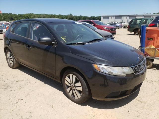 KIA FORTE EX 2013 with VIN KNAFU5A28D5742664 - Photo from auction