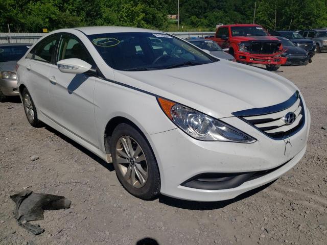 HYUNDAI SONATA GLS 2014 with VIN 5NPEB4AC3EH819871 - Photo from auction