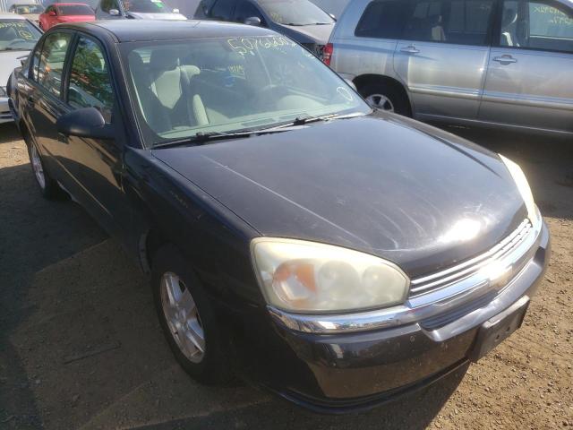 CHEVROLET MALIBU 2005 with VIN 1G1ZT528X5F100036 - Photo from auction