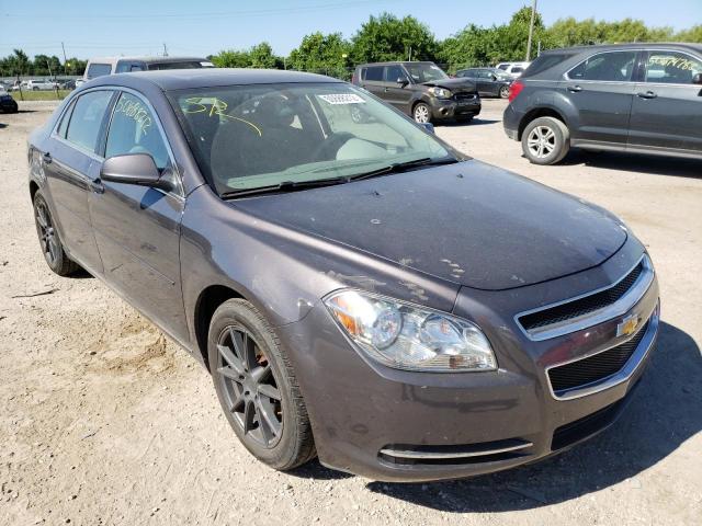 CHEVROLET MALIBU 1LT 2010 with VIN 1G1ZC5EB9A4131162 - Photo from auction