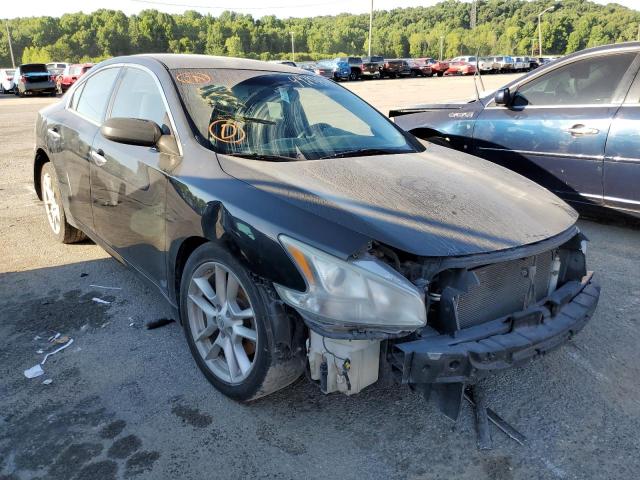 NISSAN MAXIMA S 2009 with VIN 1N4AA51E69C824207 - Photo from auction
