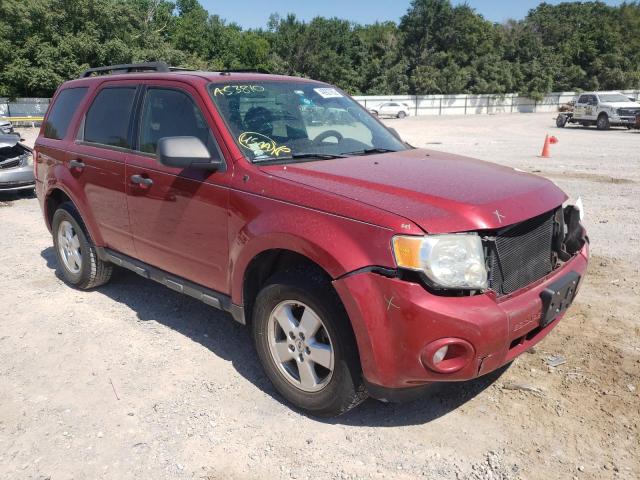 FORD ESCAPE XLT 2009 with VIN 1FMCU03G29KA53810 - Photo from auction