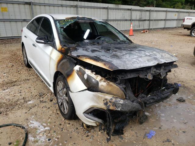 HYUNDAI SONATA SPO 2016 with VIN 5NPE34AF7GH278611 - Photo from auction