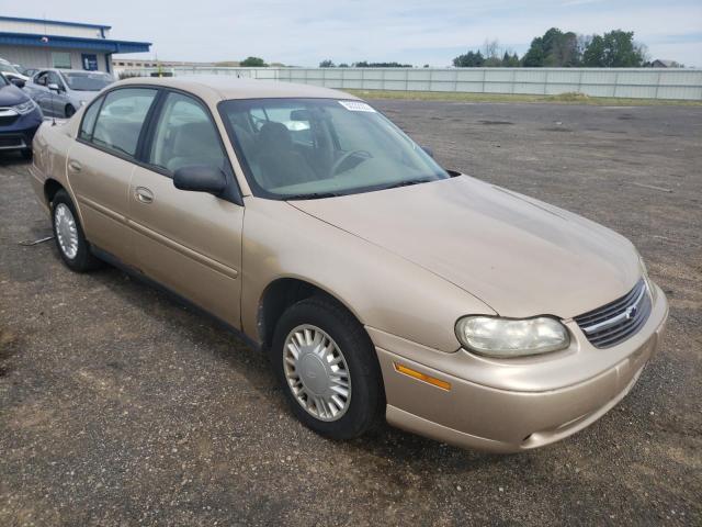 CHEVROLET MALIBU 2001 with VIN 1G1ND52J516248037 - Photo from auction