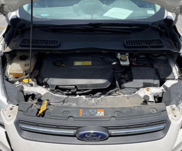 Photo 7 from auction – 2013 FORD ESCAPE SE with VIN 1FMCU0GX9DUD53710