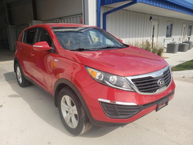 KIA SPORTAGE L 2013 with VIN KNDPBCA25D7536577 - Photo from auction