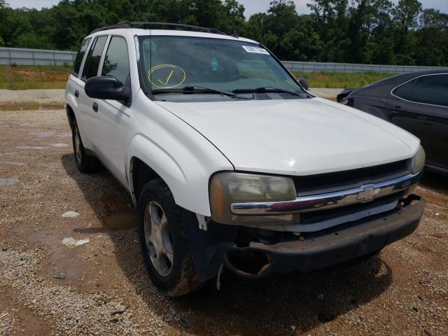 Photo 1 from auction – 2008 CHEVROLET TRAILBLAZE with VIN 1GNDS13S282139164